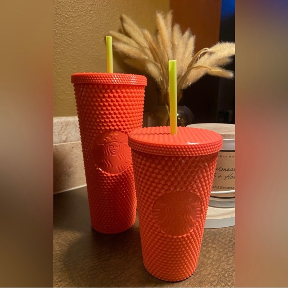 10 Piece Starbucks Cup Collection